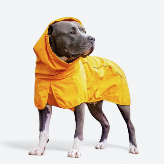 CAPA IMPERMEABLE PARA PERROS
