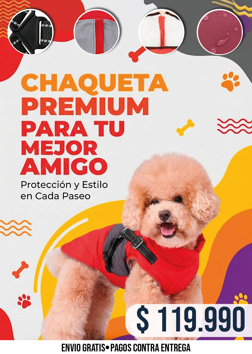 CHAQUETA DE PERRO