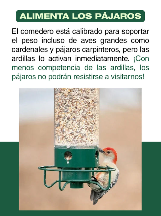 COMEDERO DE PAJAROS 2024