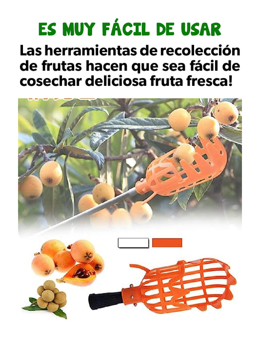 RECOLECTOR DE FRUTA