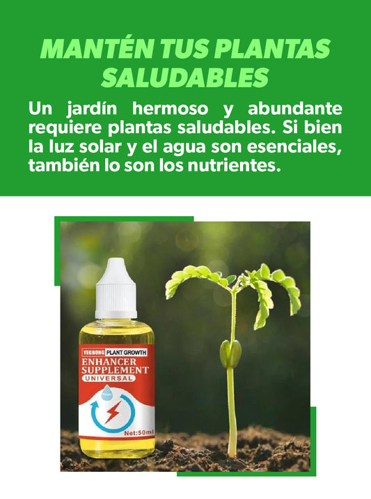 SUPLEMENTO CRECIMIENTO PLANTAS