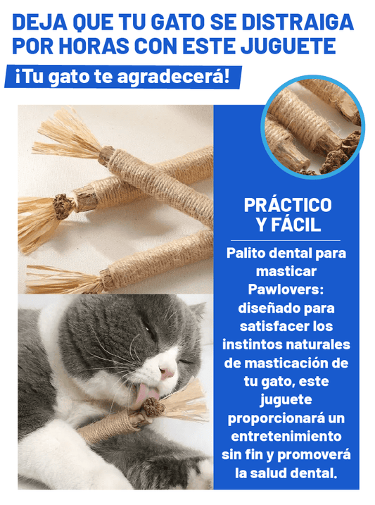 JUGUETE DE PALITO PARA GATO