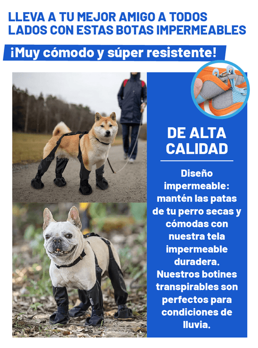 BOTAS IMPERMEABLES PARA MASCOTA