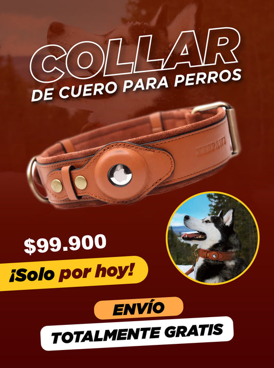 COLLAR DE CUERO PARA PERROS